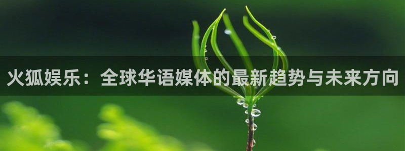 卧龙娱乐