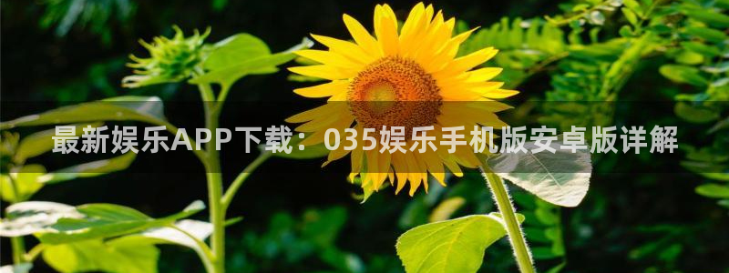 卧龙娱乐
