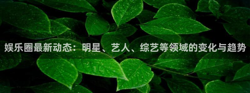卧龙娱乐